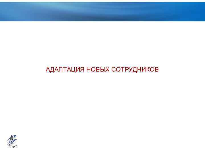 АДАПТАЦИЯ НОВЫХ СОТРУДНИКОВ 