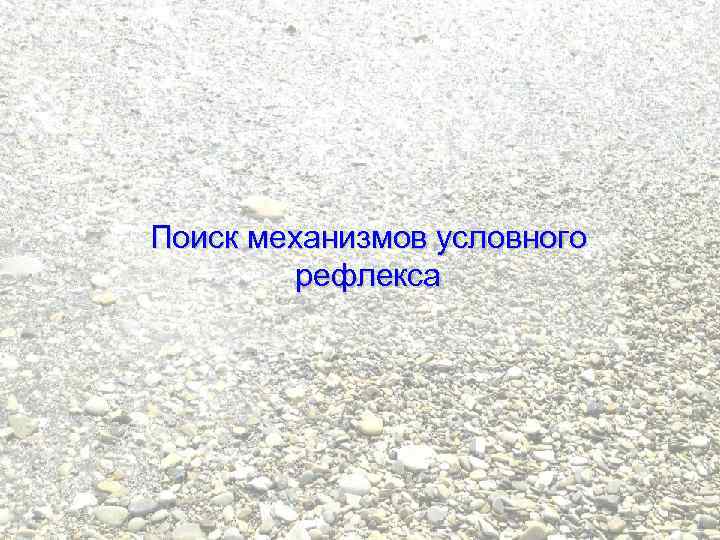 Поиск механизмов условного рефлекса 