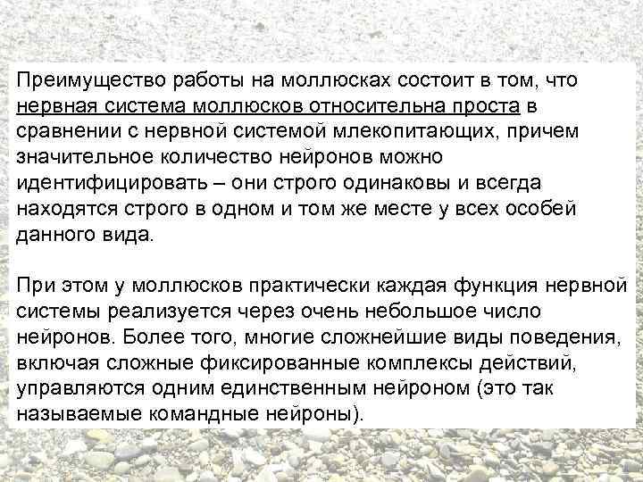Преимущество работы на моллюсках состоит в том, что нервная система моллюсков относительна проста в