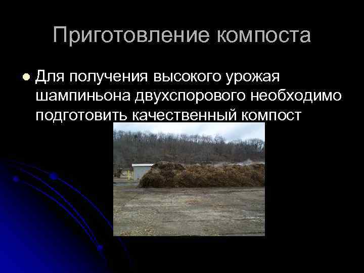 Приготовление компоста l Для получения высокого урожая шампиньона двухспорового необходимо подготовить качественный компост 