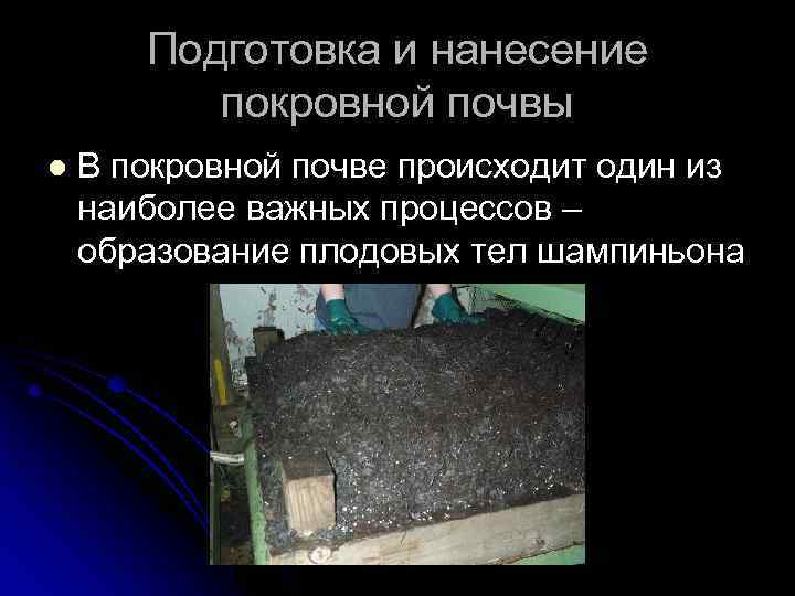 Подготовка и нанесение покровной почвы l В покровной почве происходит один из наиболее важных