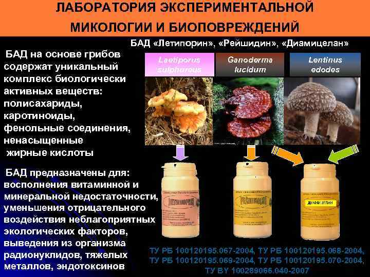 ЛАБОРАТОРИЯ ЭКСПЕРИМЕНТАЛЬНОЙ МИКОЛОГИИ И БИОПОВРЕЖДЕНИЙ БАД «Летипорин» , «Рейшидин» , «Диамицелан» БАД на основе