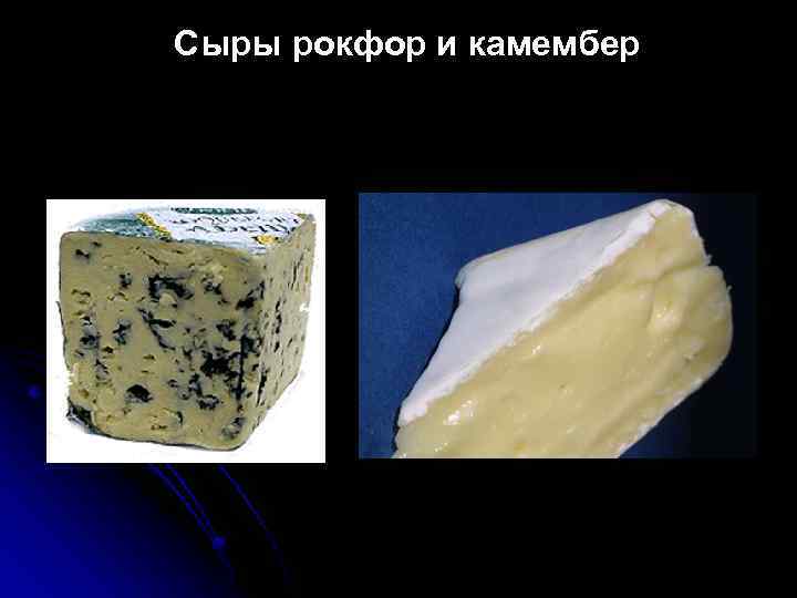 Сыры рокфор и камембер 