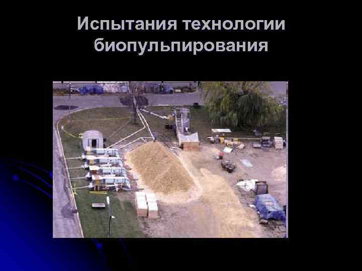 Испытания технологии биопульпирования 