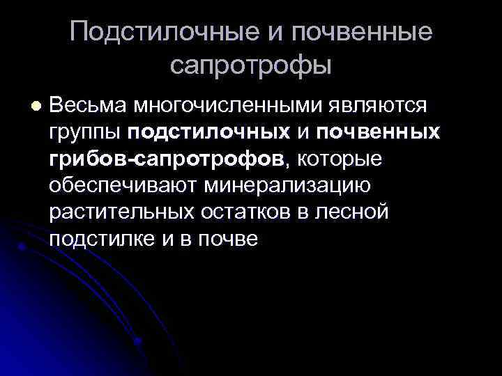Подстилочные и почвенные сапротрофы l Весьма многочисленными являются группы подстилочных и почвенных грибов-сапротрофов, которые