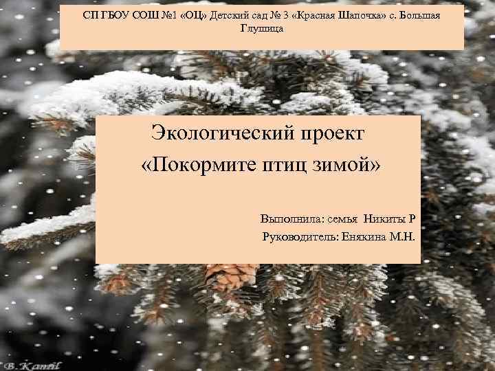 СП ГБОУ СОШ № 1 «ОЦ» Детский сад № 3 «Красная Шапочка» с. Большая