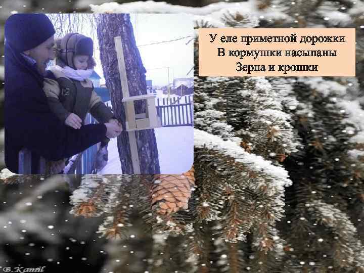 У еле приметной дорожки В кормушки насыпаны Зерна и крошки 