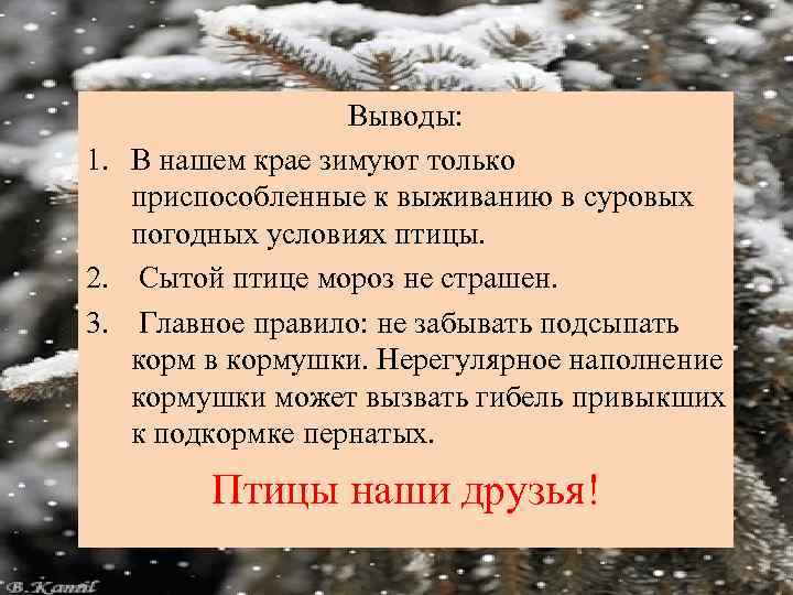 Выводы: 1. В нашем крае зимуют только приспособленные к выживанию в суровых погодных условиях