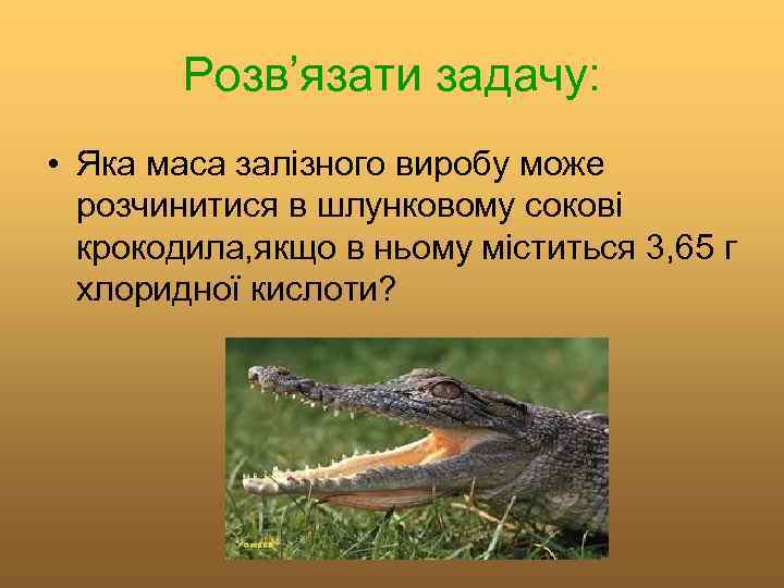Розв’язати задачу: • Яка маса залізного виробу може розчинитися в шлунковому сокові крокодила, якщо