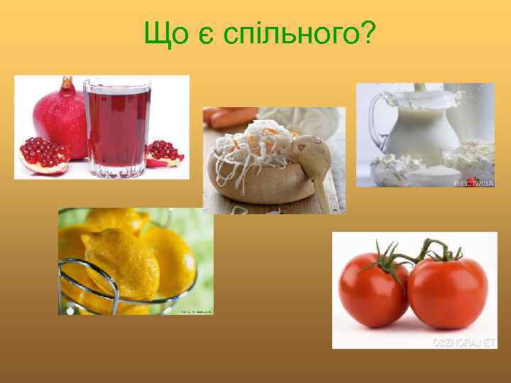 Що є спільного? 