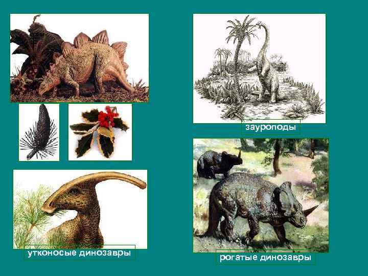 зауроподы утконосые динозавры рогатые динозавры 