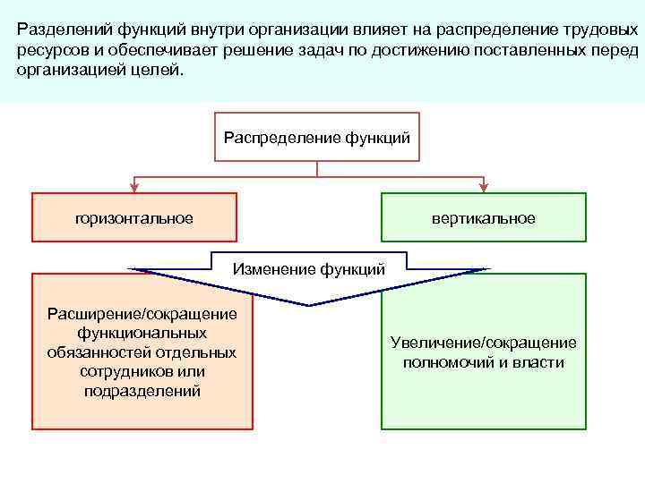 Разделений функций внутри организации влияет на распределение трудовых ресурсов и обеспечивает решение задач по