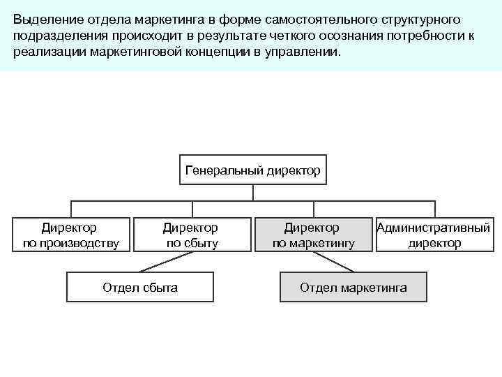 Подразделения отдела маркетинга. Штат отдела маркетинга.