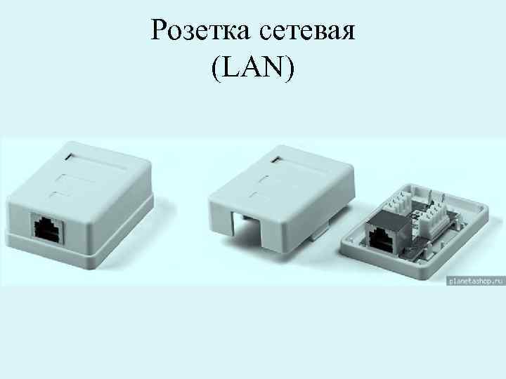 Розетка сетевая (LAN) 