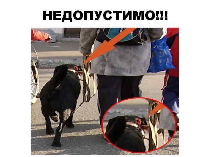 НЕДОПУСТИМО!!! 