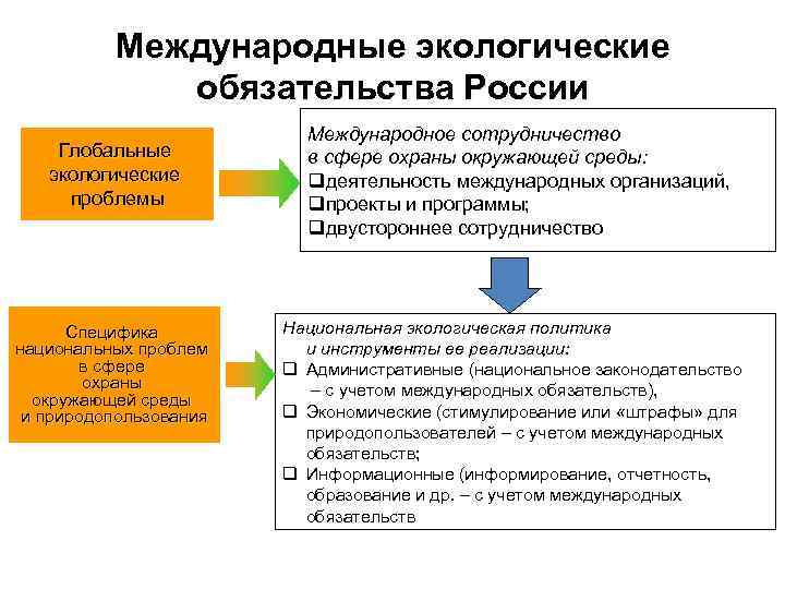 Международные экологические обязательства России Глобальные экологические проблемы Специфика национальных проблем в сфере охраны окружающей