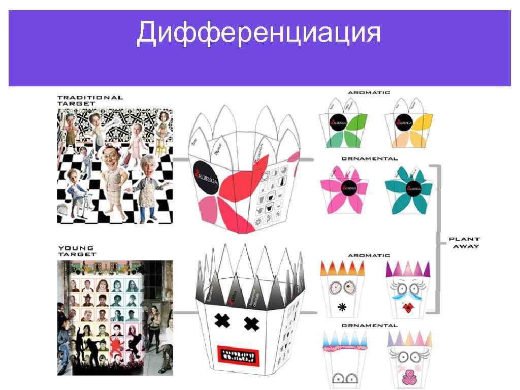 Дифференциация 