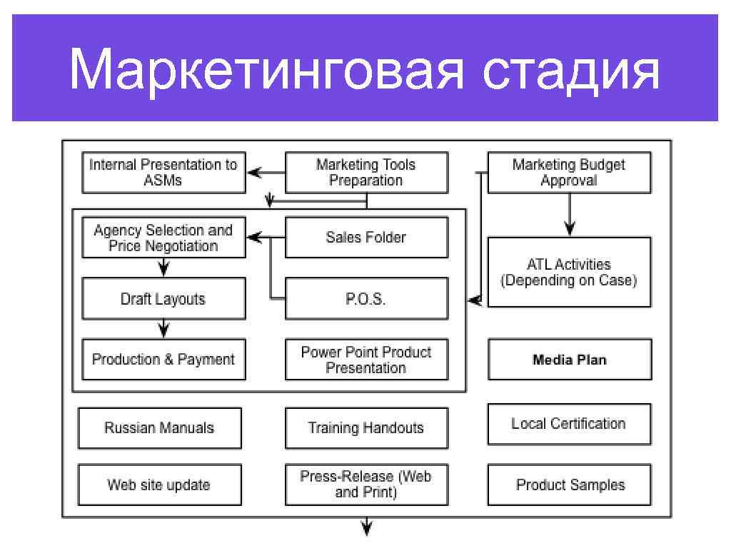 Маркетинговая стадия 