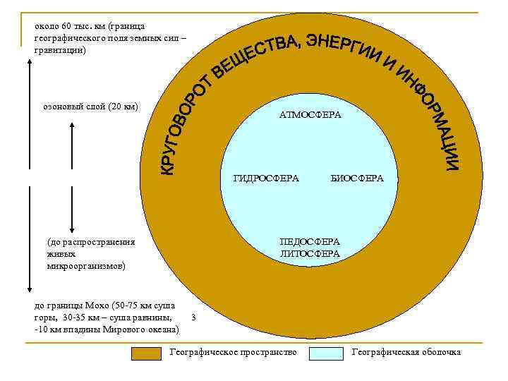 около 60 тыс. км (граница географического поля земных сил – гравитации) озоновый слой (20