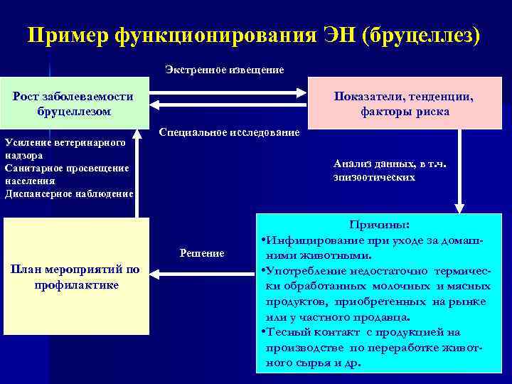 Пример функционирования ЭН (бруцеллез) Экстренное извещение Рост заболеваемости бруцеллезом Усиление ветеринарного надзора Санитарное просвещение