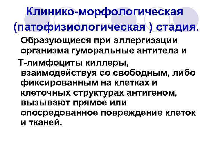 Клинико-морфологическая (патофизиологическая ) стадия. Образующиеся при аллергизации организма гуморальные антитела и Т-лимфоциты киллеры, взаимодействуя