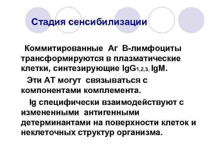 Стадия сенсибилизации Коммитированные Аг В-лимфоциты трансформируются в плазматические клетки, синтезирующие Ig. G 1, 2,