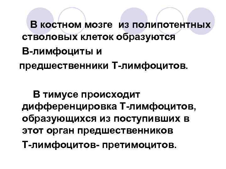 В костном мозге из полипотентных стволовых клеток образуются В-лимфоциты и предшественники Т-лимфоцитов. В тимусе