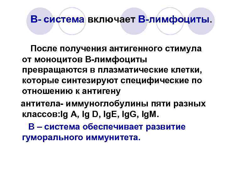 В- система включает В-лимфоциты. После получения антигенного стимула от моноцитов В-лимфоциты превращаются в плазматические