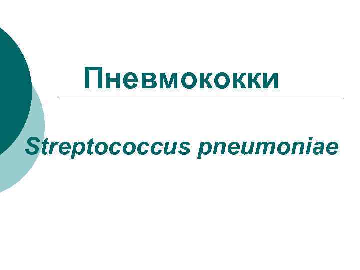 Пневмококки Streptococcus pneumoniae 