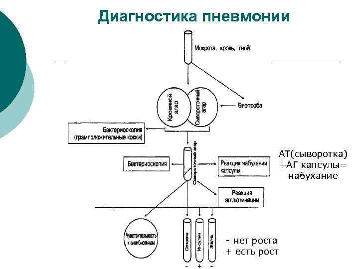 Диагностика пневмонии АТ(сыворотка) +АГ капсулы= набухание - нет роста + есть рост 