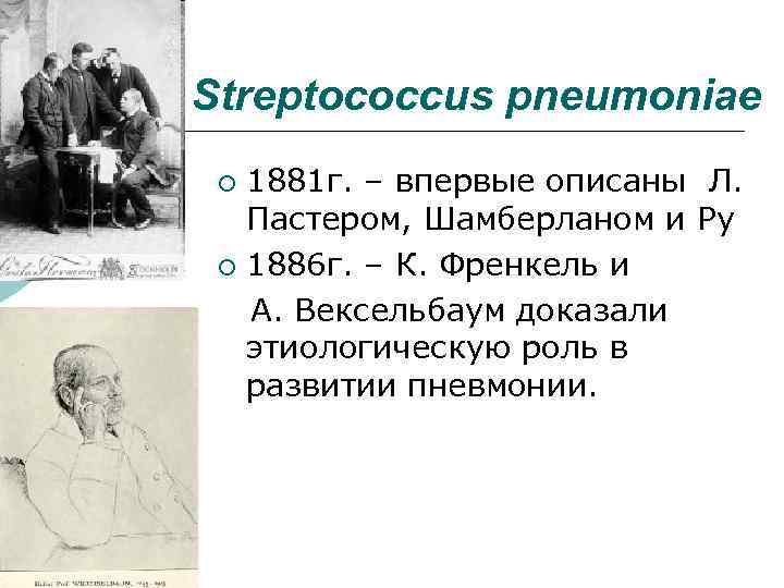 Streptococcus pneumoniae 1881 г. – впервые описаны Л. Пастером, Шамберланом и Ру ¡ 1886