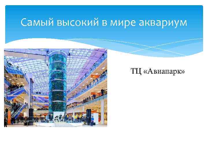 Самый высокий в мире аквариум ТЦ «Авиапарк» 