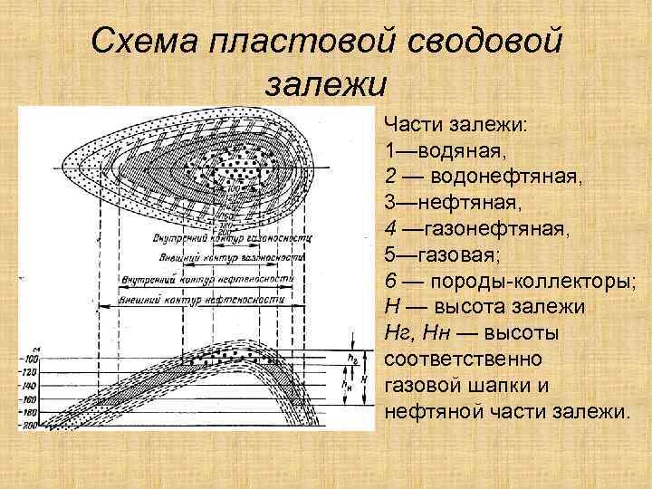 Схема пластовой сводовой залежи Части залежи: 1—водяная, 2 — водонефтяная, 3—нефтяная, 4 —газонефтяная, 5—газовая;