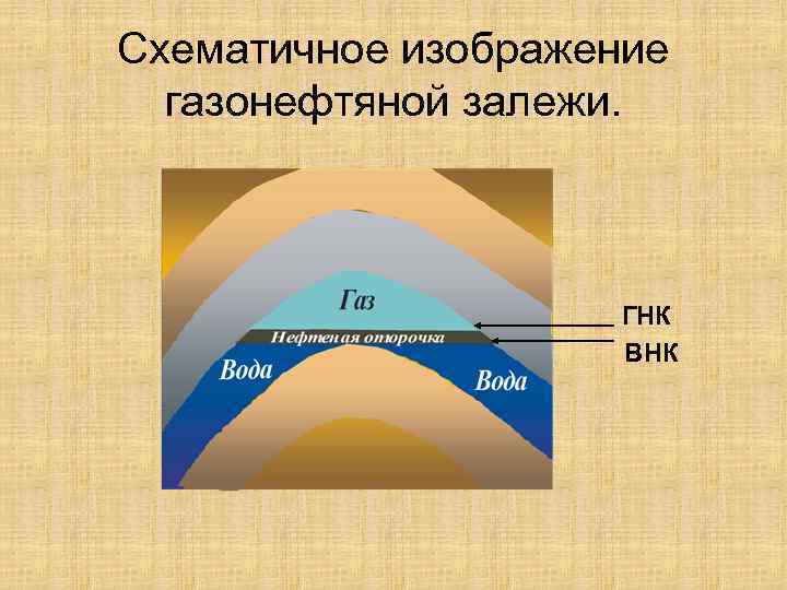 Место рождения как определяется