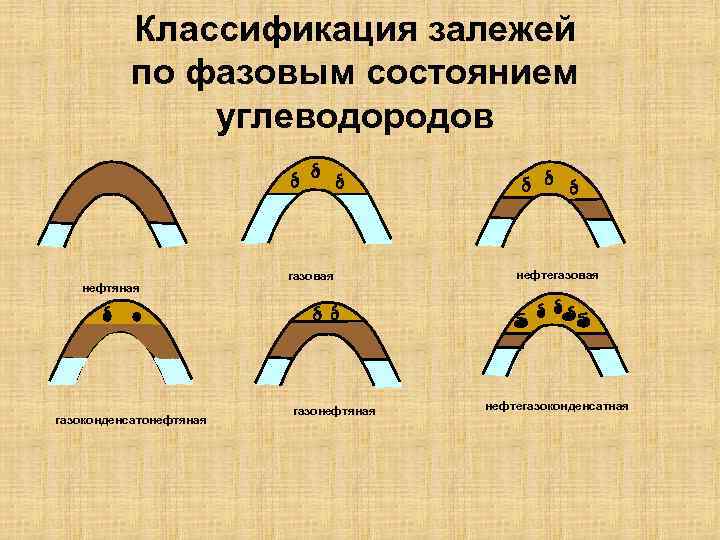 Классификация залежей по фазовым состоянием углеводородов нефтяная газоконденсатонефтяная газовая газонефтяная нефтегазовая нефтегазоконденсатная 