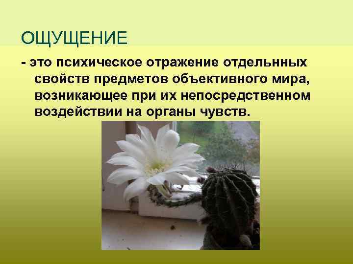 ОЩУЩЕНИЕ - это психическое отражение отдельнных свойств предметов объективного мира, возникающее при их непосредственном