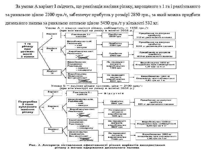 За умови А варіант І свідчить, що реалізація насіння ріпаку, вирощеного з 1 га