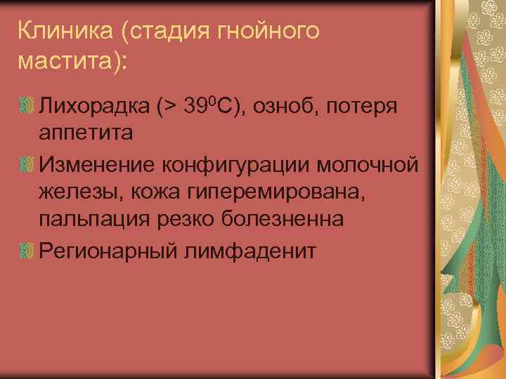Клиника (стадия гнойного мастита): Лихорадка (> 390 С), озноб, потеря аппетита Изменение конфигурации молочной
