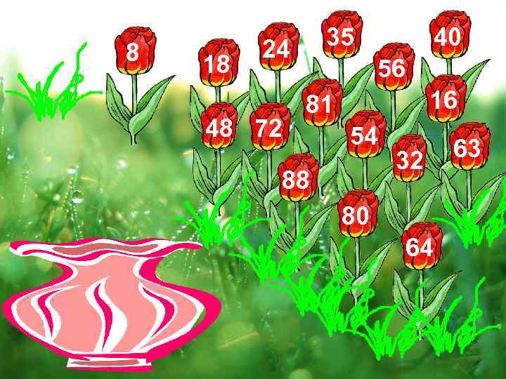 8 18 35 24 48 72 40 56 16 81 54 88 32 80