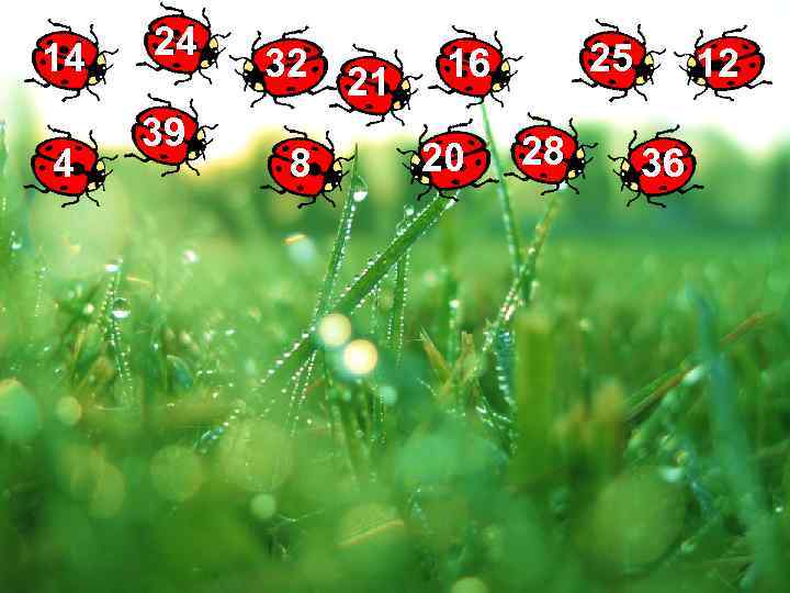 14 4 24 39 32 21 8 25 16 20 28 12 36 