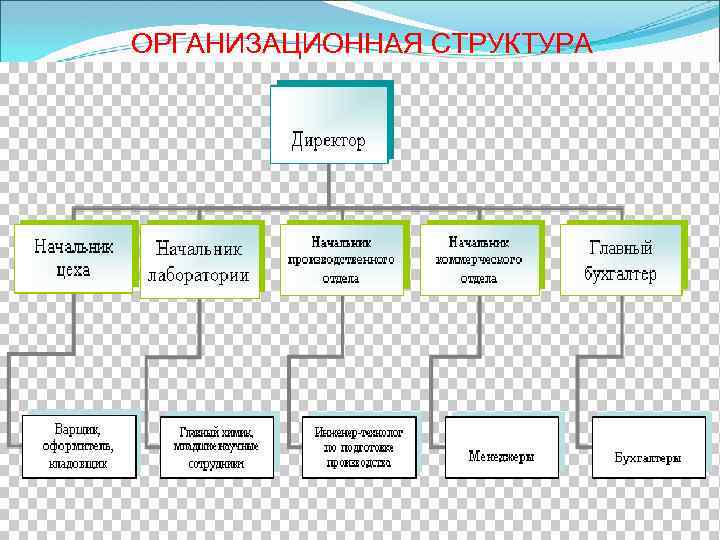 ОРГАНИЗАЦИОННАЯ СТРУКТУРА 