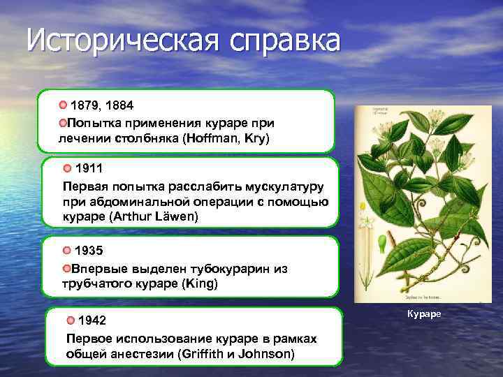 Историческая справка 1879, 1884 Попытка применения кураре при лечении столбняка (Hoffman, Kry) 1911 Первая