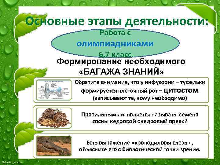 Основные этапы деятельности: Работа с олимпиадниками 6, 7 класс. Формирование необходимого «БАГАЖА ЗНАНИЙ» Обратите