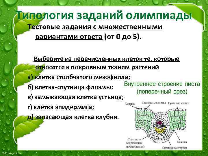 Типология заданий олимпиады Тестовые задания с множественными вариантами ответа (от 0 до 5). Выберите