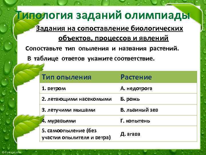 Типология заданий олимпиады Задания на сопоставление биологических объектов, процессов и явлений Сопоставьте тип опыления