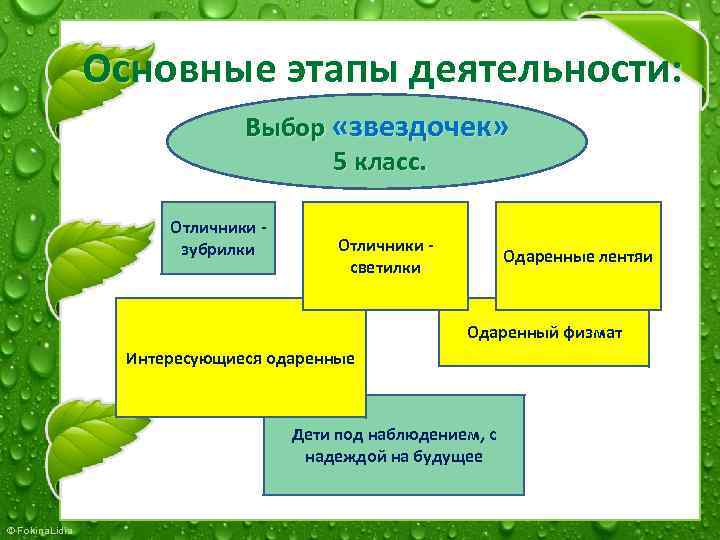 Основные этапы деятельности: Выбор «звездочек» 5 класс. Отличники - зубрилки Отличники - светилки Одаренные