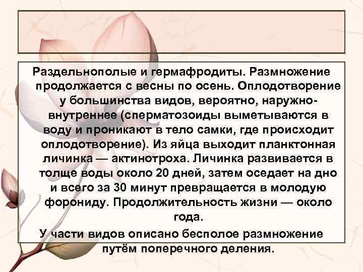 Раздельнополые и гермафродиты. Размножение продолжается с весны по осень. Оплодотворение у большинства видов, вероятно,
