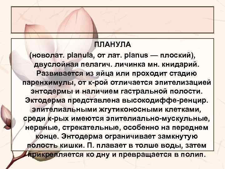 ПЛАНУЛА (новолат. planula, от лат. planus — плоский), двуслойная пелагич. личинка мн. книдарий. Развивается