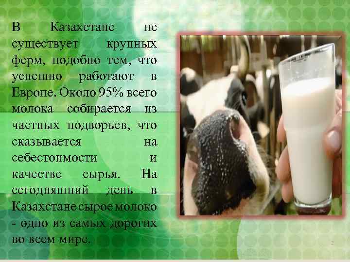 В Казахстане не существует крупных ферм, подобно тем, что успешно работают в Европе. Около