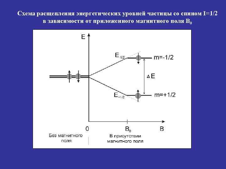 Магнитный левитрон схема